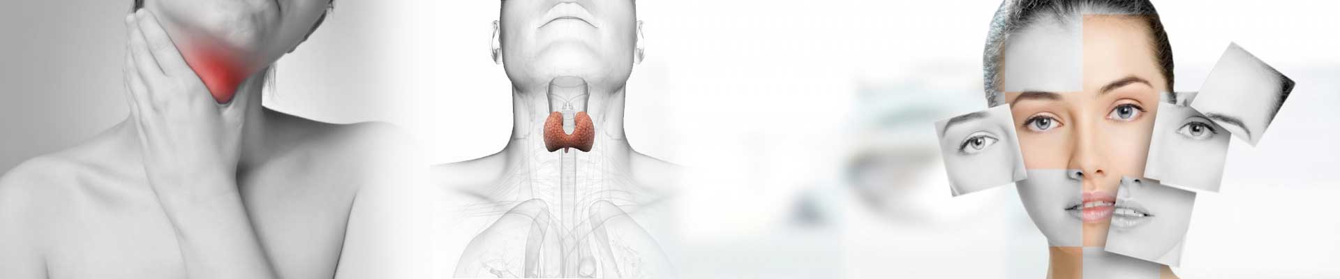 Thyroid & Head & Neck Sugery